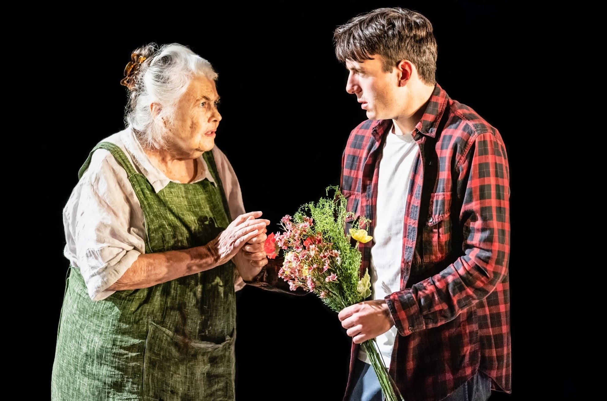 The Inheritance